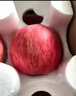 京鲜生山东烟台红富士苹果 5斤装单果75-80mm生鲜水果 源头直发 包邮 实拍图