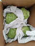 京鲜生山东新鲜绿甘蓝净重5斤单果200g+卷心菜甘蓝新鲜蔬菜 源头直发 实拍图
