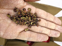 一米生活 红花椒 20g*5袋 四川大红袍麻椒 干花椒粒卤料香辛调味料 实拍图