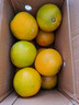 京喜加【25年鲜橙】云南冰糖橙新鲜采摘秋橙当季新鲜水果 净重4.5斤65mm 实拍图