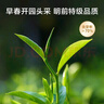 京东京造 2025新茶特级信阳毛尖100g栗香明前嫩芽叶绿茶茶叶自营 送礼 实拍图
