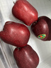 京鲜生 甘肃天水花牛苹果 又大又红 净重10斤 单果200g以上 新鲜水果  实拍图