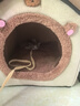 阿柴与猫封闭式猫窝大房子小型犬狗窝睡觉猫狗屋可拆洗四季通用宠物窝 实拍图