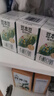 豆本豆 植物有机豆奶植物蛋白质饮料儿童学生营养早餐奶125ml*6盒*3批发 实拍图
