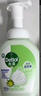 滴露（Dettol）泡沫洗手液青柠香250ml 抑菌儿童洗手液泡泡保湿 非补充装 实拍图