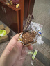 费列罗 榛果巧克力 3粒*16条 600g 零食 伴手礼 喜糖 万圣节糖果 实拍图