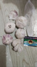 大蒜头出口品质网兜紫蒜蔬菜调料新鲜大果烧烤火锅食材 【精品网兜装】5头装 150g 实拍图