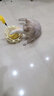 HELLOJOY猫玩具猫咪自嗨解闷神器转盘逗猫棒猫猫冻干漏食球小猫用品不倒翁 实拍图