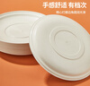 优奥一次性盘子（14.5cm*20只）加厚野餐盘免洗餐具户外露营烧烤盘 实拍图