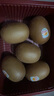佳沛（zespri）新西兰阳光金奇异果 8个装 特大果单果重约122-146g 水果猕猴桃 实拍图