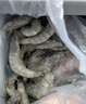 东上御品虾 青岛大虾基围虾鲜活青虾白虾海虾对虾冰虾冻虾生鲜 虾类 海鲜 3斤(净重)  气冻大虾【活虾速冻】 17-21cm【特大虾皇】 实拍图