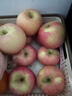 京鲜生 山东栖霞红富士苹果精品12粒 单果190g-240g  水果礼盒 实拍图