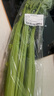 【有机】芹菜（西芹）400g 实拍图