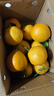 生活＆好管家 四川春见耙耙柑爆浆大果新鲜水果礼盒应季橘子现摘柑橘子桔子 4.5-5斤【超划算】净重4.5斤 果径80-85mm【中大果】 实拍图