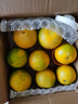 京觅福建青皮爆汁葡萄柚 单果300g起8.5斤装 约10-14个  送榨汁器 实拍图