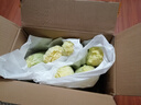 云南高原娃娃菜新鲜蔬菜生鲜乾隆白菜早餐火锅必备产地直发 浅黄色 新鲜娃娃菜3颗装*2包 实拍图