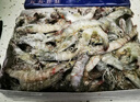 万景 国产大虾 盐冻北海白虾(大号) 80-100只净重4斤  家庭聚餐 海鲜 实拍图
