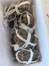 【活蟹】阳澄帝 大闸蟹鲜活  现货特大螃蟹公蟹母蟹精品礼盒装 精品六月黄3.0-3.3两 10只装 实拍图