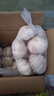 大蒜头出口品质网兜紫蒜蔬菜调料新鲜大果烧烤火锅食材 【精品网兜装】5斤装 2300g 实拍图