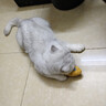 欢宠网猫玩具猫咪逗猫棒猫薄荷磨牙棒自嗨解闷神器磨牙猫猫小猫幼猫宠物 实拍图