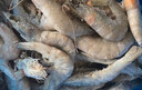 禧美海产 厄瓜多尔巨无霸白虾 去冰净重3斤 30-40只/kg 盐冻大虾 海鲜水产 实拍图
