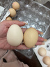 京鲜生【每日鲜蛋】无抗谷物鸡蛋30枚3.78斤 当日产蛋 当日发货 实拍图