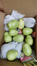 京觅福建芭乐 白心芭乐 土番石榴单果150g 4.5斤装 实拍图