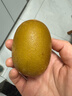 佳沛（zespri）新西兰  阳光金奇异果10粒礼盒巨大果单果约144-175g 水果 猕猴桃 实拍图