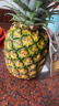 佳农 黑钻菠萝1粒装 菲律宾凤梨 净重2斤起 生鲜水果 源头直发 包邮 实拍图