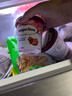 哈根达斯（Haagen-Dazs）夏威夷果仁大桶冰淇淋 473ml/桶 雪糕 实拍图
