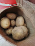 京鲜生山东新鲜小土豆净重3斤单果100g以上 现挖黄心马铃薯蔬菜源头直发 实拍图