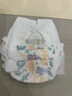 碧芭宝贝丛林狂想曲拉拉裤 婴儿成长裤宝贝训练裤透气大号尿不湿 拉拉裤L36片(9-14kg) 实拍图