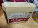 百威（Budweiser）淡色拉格啤酒 500ml*18听整箱装 经典纯生京东自营 实拍图
