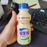 乳酸菌益生菌风味饮料乳酸菌饮品340ml/瓶早餐酸奶好喝 益生菌340ml*1瓶 实拍图