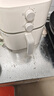 苏泊尔（SUPOR）空气炸锅 家用大容量6L易用旋钮 全自动一体机 蒸汽嫩炸 KJ60D813 实拍图