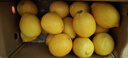 京鲜生 安岳黄柠檬16粒 单果95g-120g 生鲜水果 实拍图