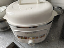 九阳（Joyoung）电炖锅热水快炖多功能锅2.8L电炖盅炖汤盅燕窝锅养生锅宝宝辅食bb粥迷你煮粥煲汤锅白瓷GD328 实拍图