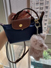 LONGCHAMP珑骧Le Pliage Original系列女包mini手提饺子包 实拍图