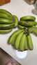 广东超甜香蕉青香蕉发货放熟吃雯婷新鲜水果 净重3斤 实拍图
