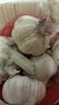 京鲜生山东金乡大蒜带皮新鲜干蒜净重3斤单果4.5cm起源头直发包邮 实拍图