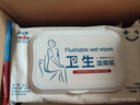 蓝帆医疗（blue sail+）卫生杀菌湿厕纸呵护肌肤 擦走细菌 消字号认证  40片/包  实拍图