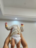 babycare艺术大师拉拉裤成长裤XL码28片(12-17kg) 婴儿尿不湿瞬吸干爽透气 实拍图