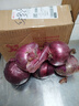 新生紫皮洋葱生吃脆甜应季新下鲜红洋葱蔬菜超市新款 新鲜红洋葱 5斤 实拍图