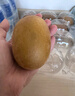 佳沛（zespri）新西兰  阳光金奇异果10粒礼盒巨大果单果约144-175g 水果 猕猴桃 实拍图