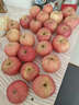 京鲜生 烟台红富士苹果 净重10斤 单果190g以上 生鲜水果 礼盒装 实拍图