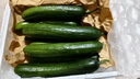 京鲜生 精品嫩水果黄瓜 净1.6斤单果70g左右 水嫩精选幼瓜 源头直发 实拍图