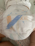babycare艺术大师拉拉裤XXL码26片(大于15kg) 婴儿尿不湿瞬吸干爽透气 实拍图