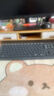 罗技（Logitech）MK235 键鼠套装 无线键鼠套装 办公键鼠套装  防泼溅防指纹 全尺寸 带无线2.4G接收器 黑 实拍图
