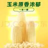 十月稻田 白糯玉米 4.16斤(260g*8根) 低脂早餐 东北玉米 杂粮粗粮 实拍图