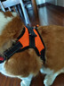 磊嘉狗绳狗链柯基防爆冲胸背带牵引绳中大型小型犬遛狗绳柴犬 暖橙色-胸背带1个配狗绳1根 M（建议18-40斤） 实拍图